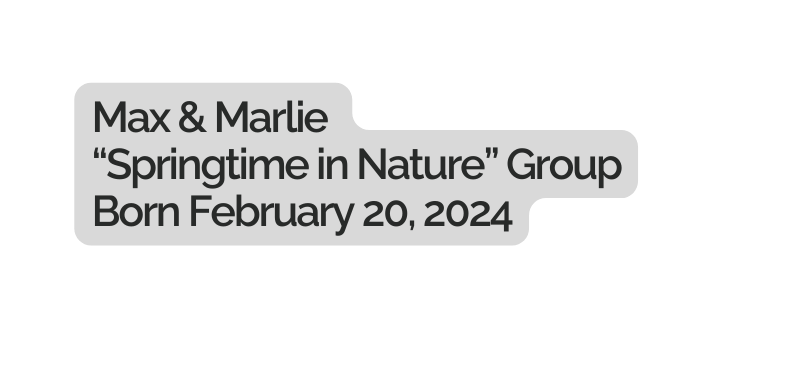 Max Marlie Springtime in Nature Group Born February 20 2024